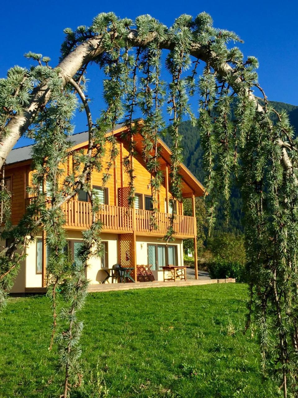 Les Chalets Fleurs De France - Kota Saint-Dalmas ภายนอก รูปภาพ