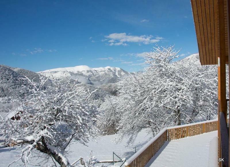 Les Chalets Fleurs De France - Kota Saint-Dalmas ภายนอก รูปภาพ